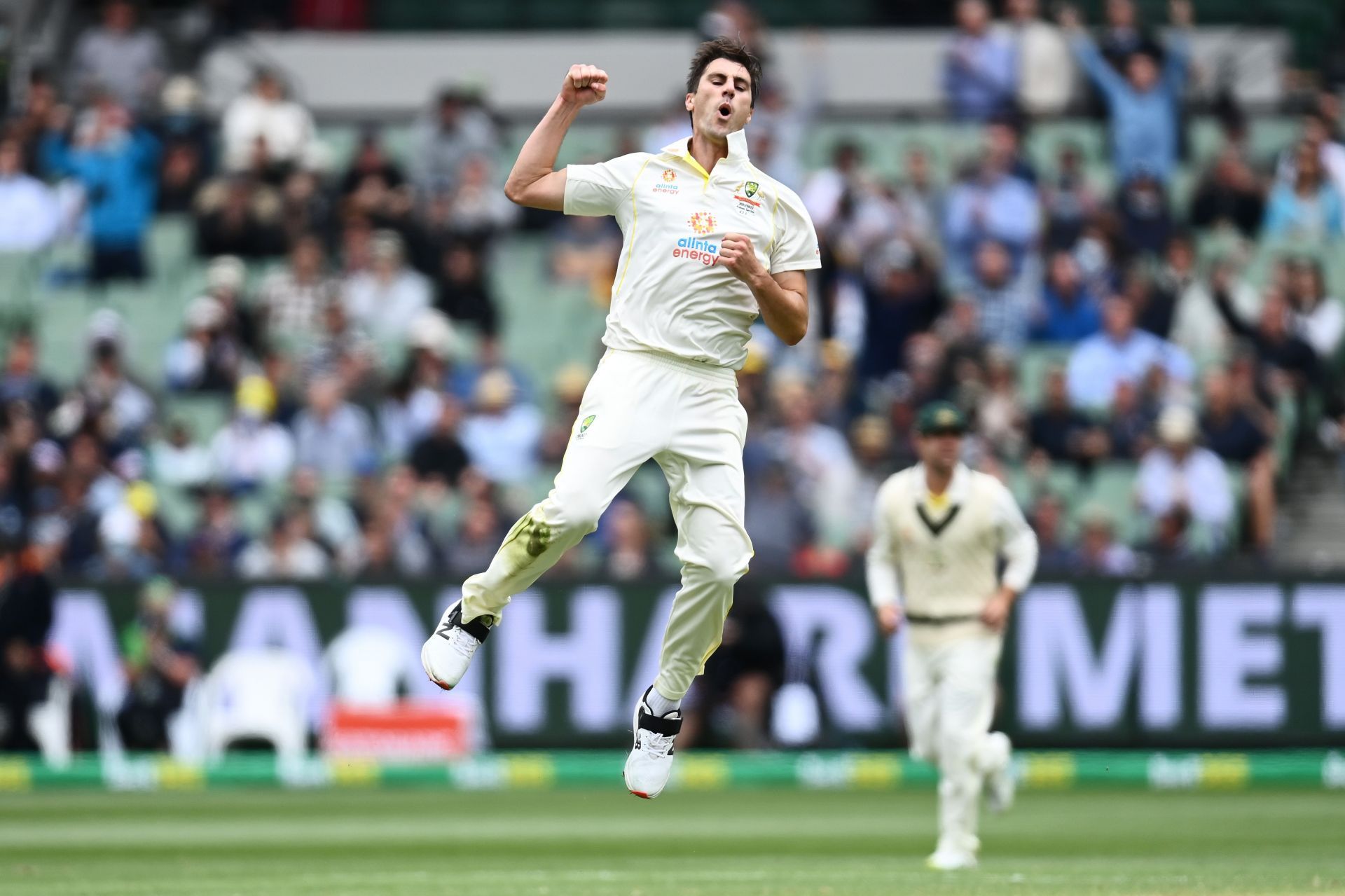 Pat Cummins celebrates after dismissing Dawid Malan. Pic: Getty Images