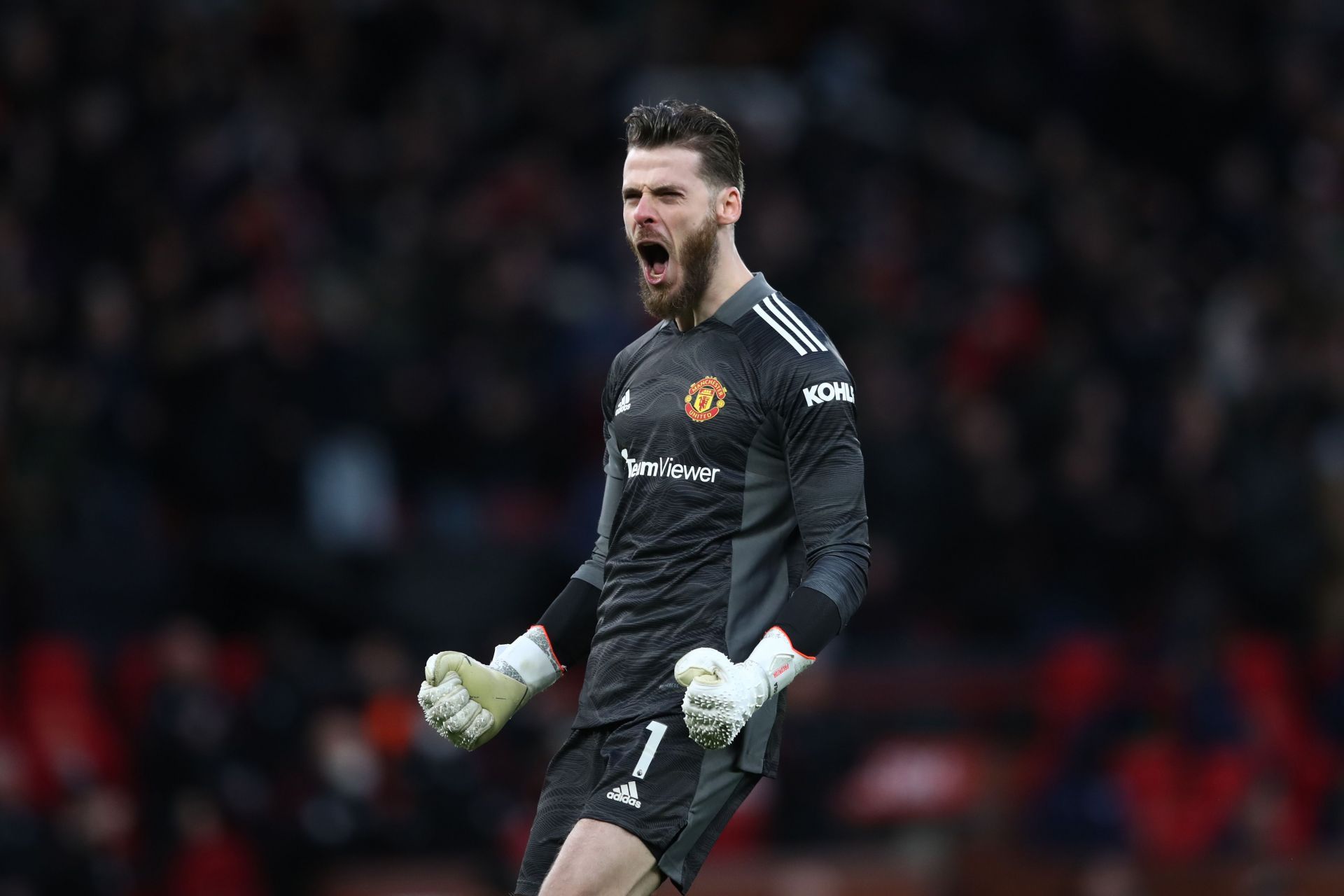 Manchester United goalkeeper David de Gea has been in fine form in the past month