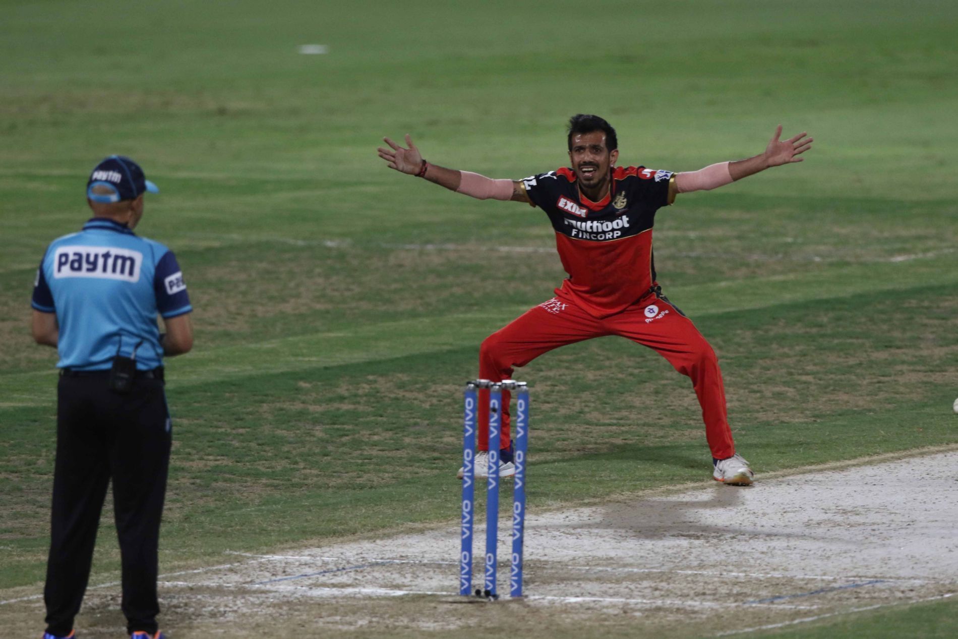 Yuzvendra Chahal appeals for a wicket during IPL 2021 Eliminator vs KKR. Pic: IPLT20.COM