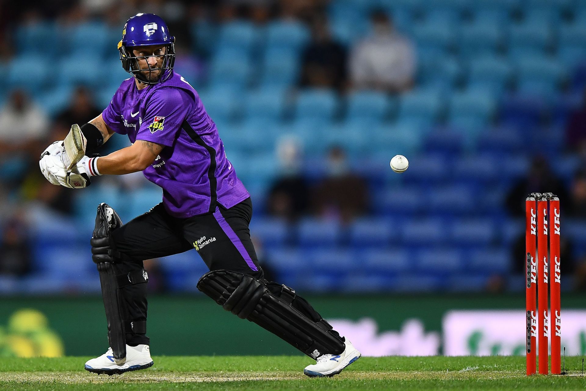 Matthew Wade has been a key player for Hobart Hurricanes in the BBL.