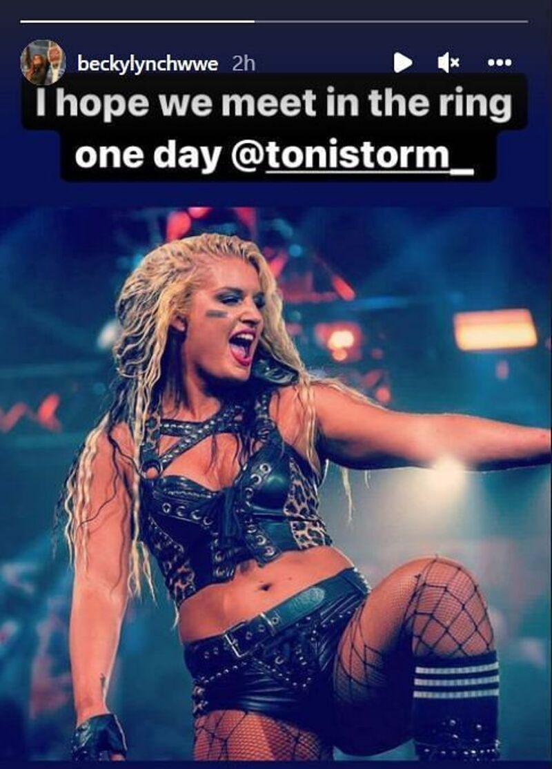 A screengrab of Becky Lynch's Instagram story