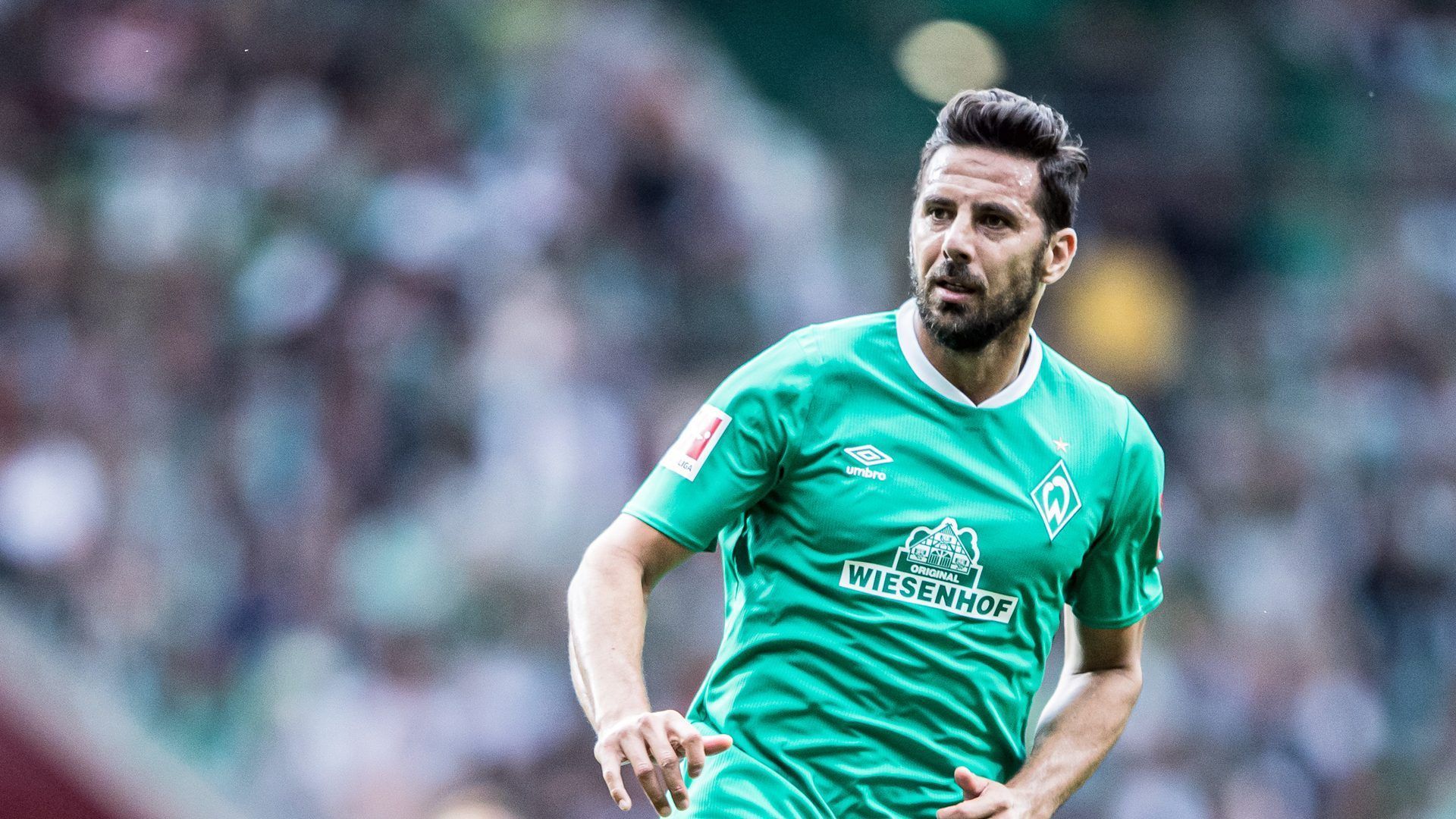 Werder Bremen striker Claudio Pizzaro in action for the club