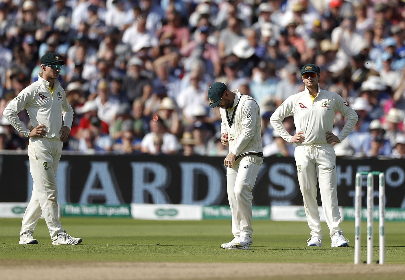 David Warner shines the ball as Steve Smith and Cameron Bancroft watch.