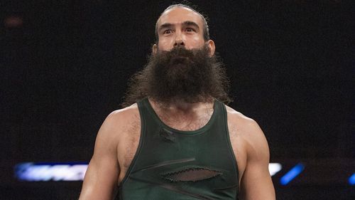 Luke Harper performing on WWE SmackDown