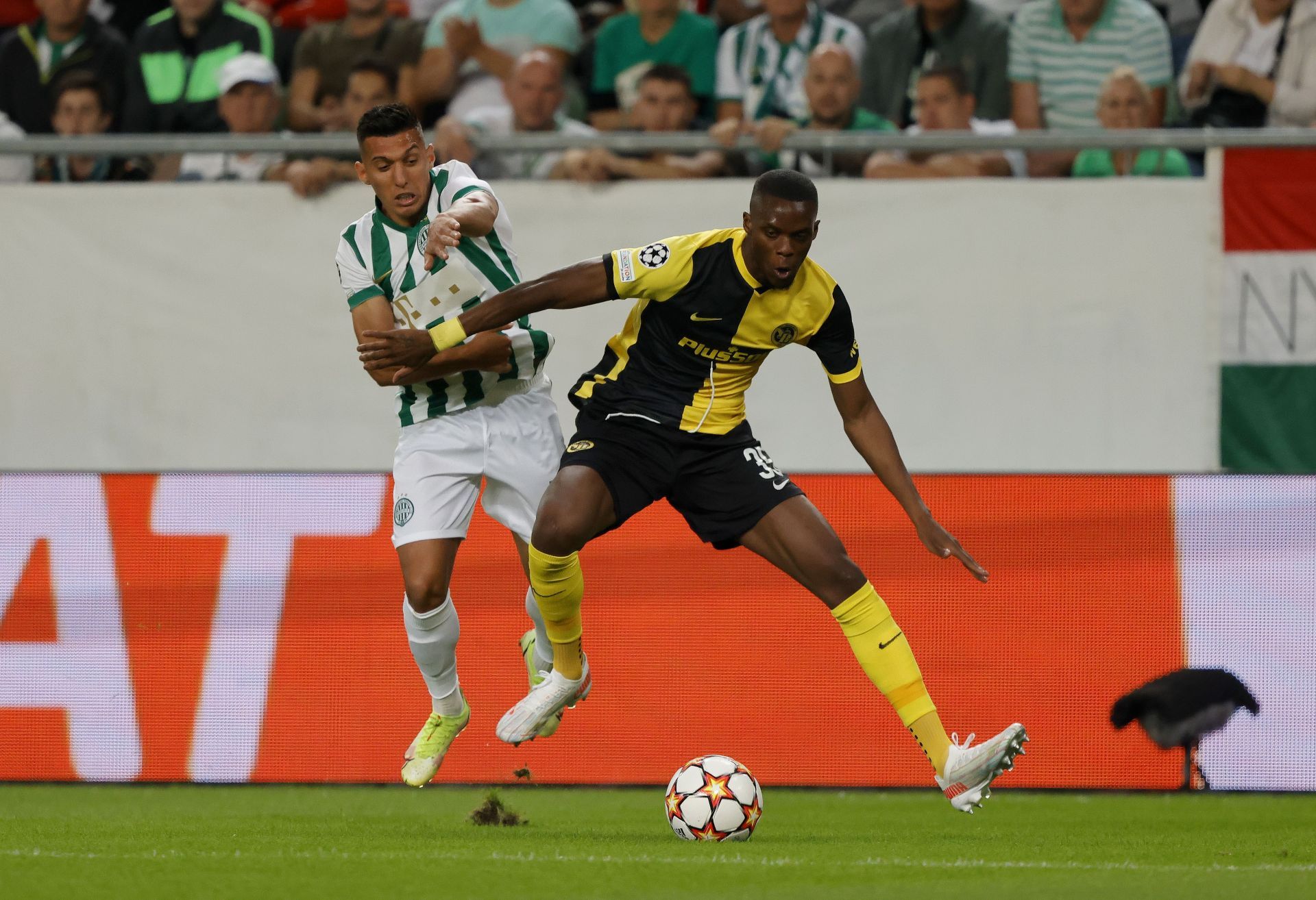 Ferencvarosi TC v BSC Young Boys - UEFA Champions League: Play-Offs Leg Two