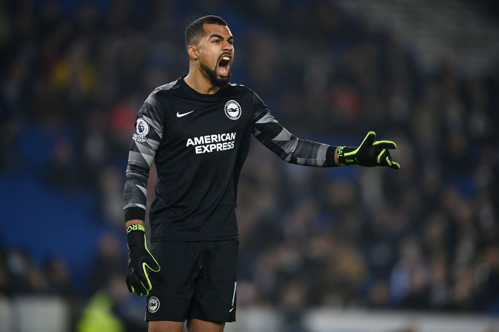 Brighton &amp; Hove Albion vs Wolverhampton Wanderers - Premier League