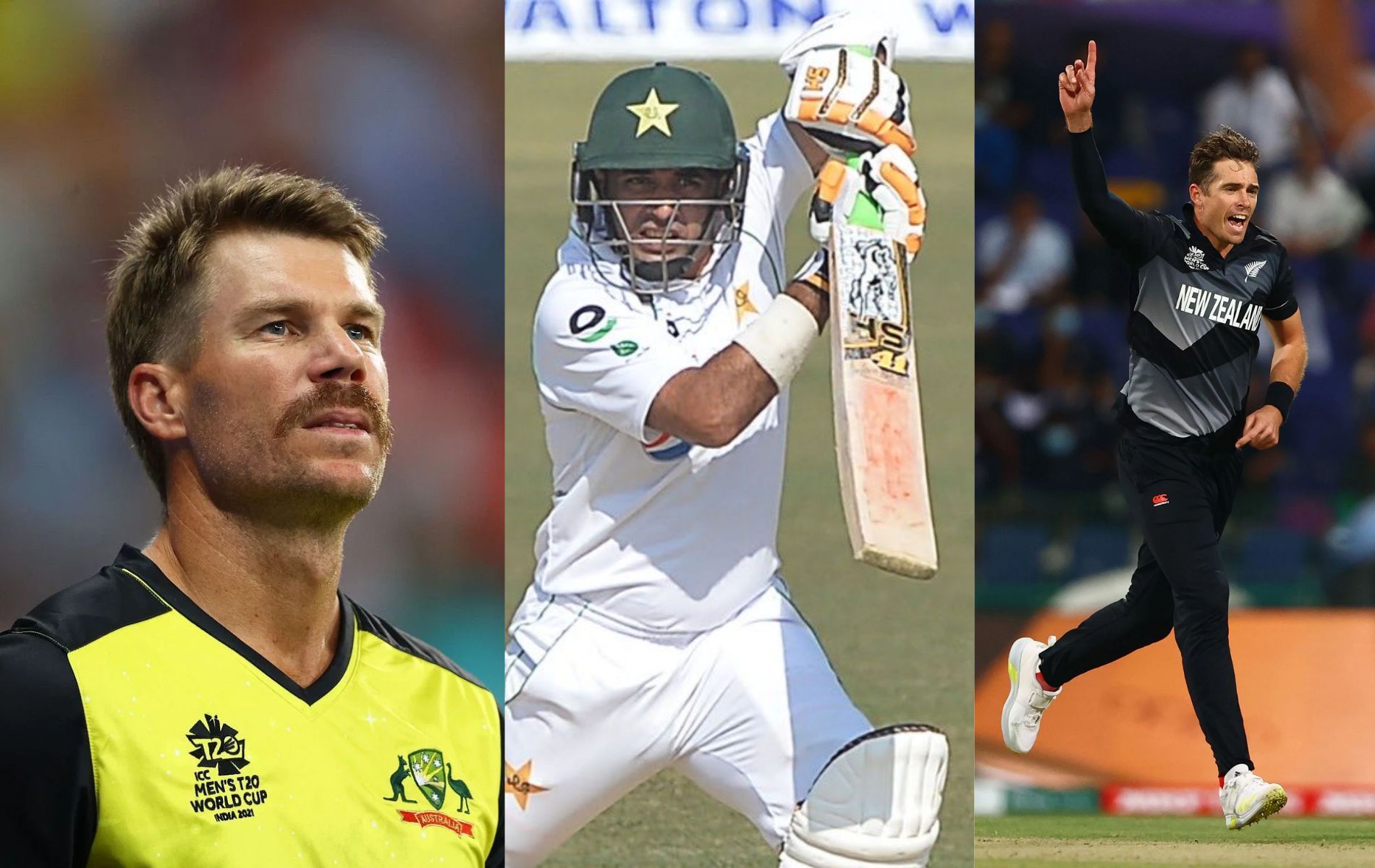 ICC nominated David Warner, Abid Ali, and Tim Southee for the November men&#039;s Player of the Month award.