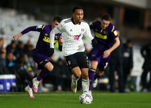 Fulham will face Luton Town on Saturday - Sky Bet Championship