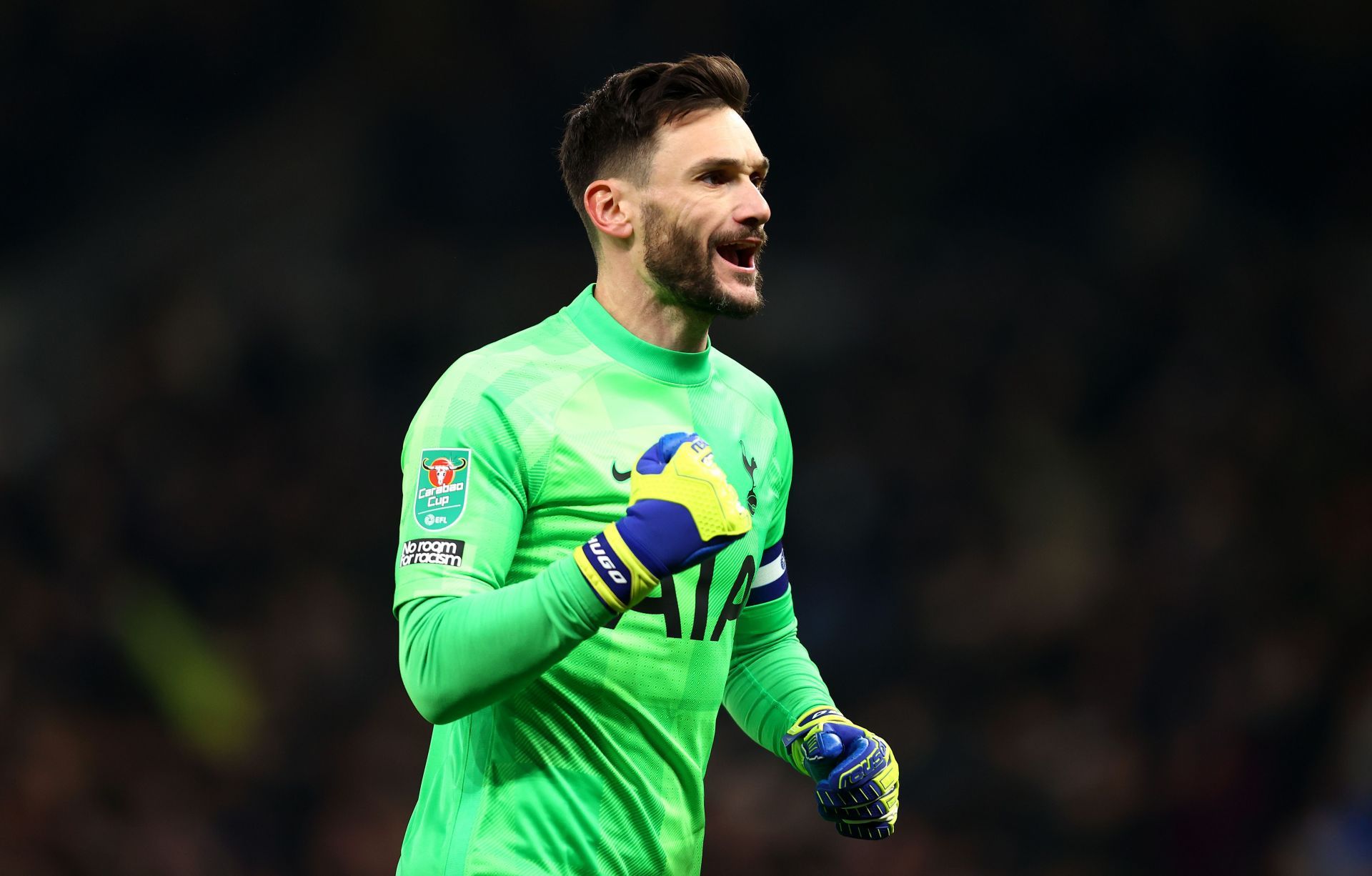 Lloris seems to be on top of his game and is certain to be there for a long time