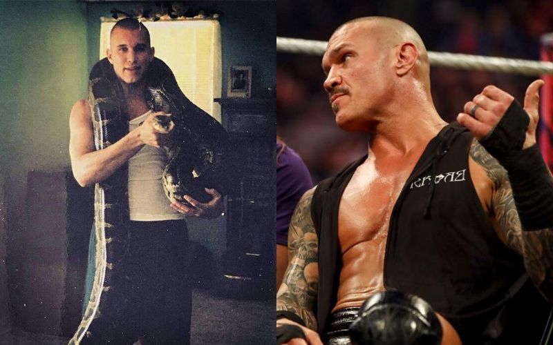 How did Orton start liking snakes?