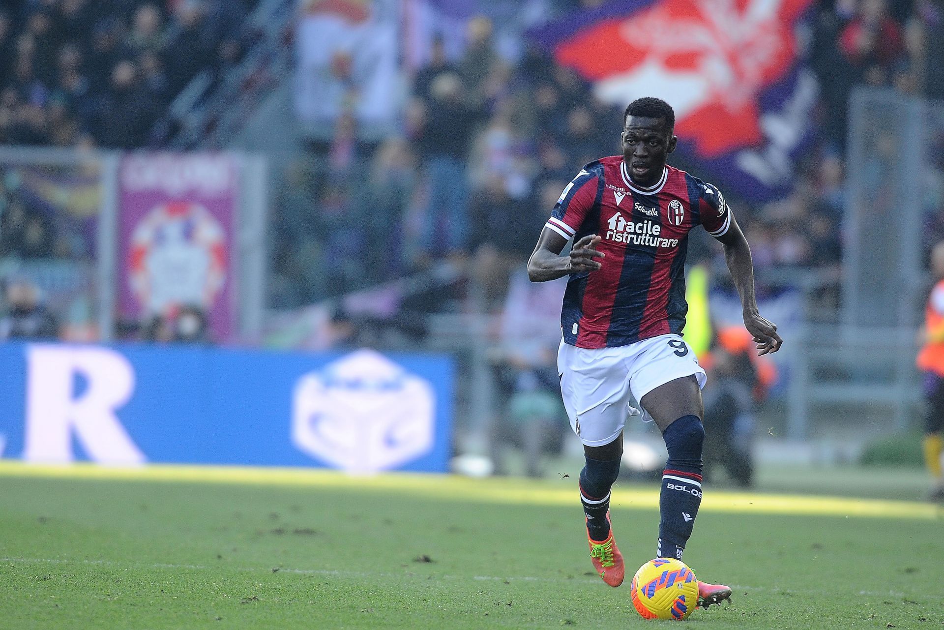 Bologna FC v ACF Fiorentina - Serie A