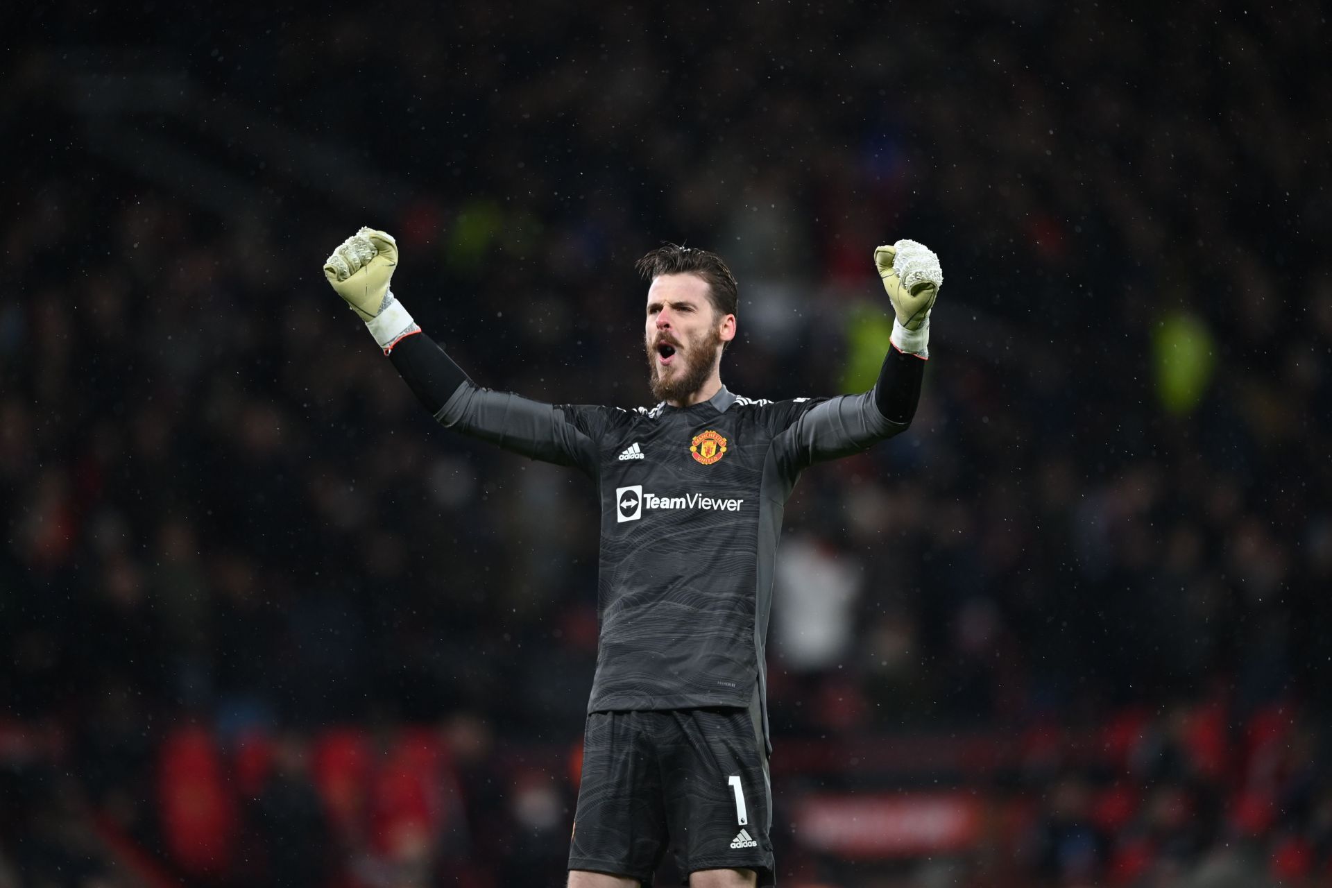 David de Gea has been a standout performer for Manchester United in the Premier League.