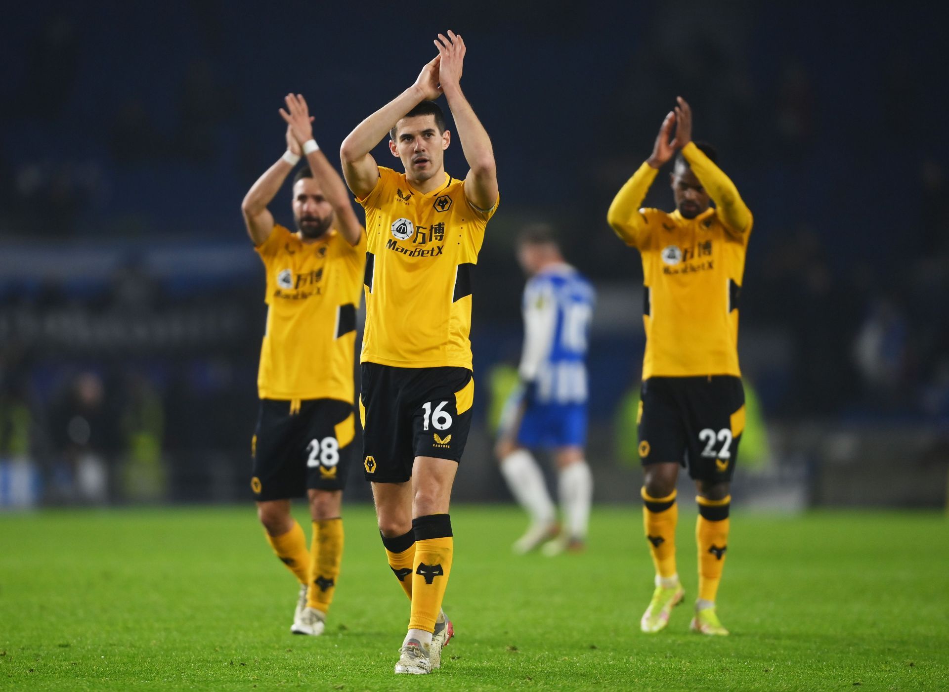 Brighton & Hove Albion v Wolverhampton Wanderers - Premier League