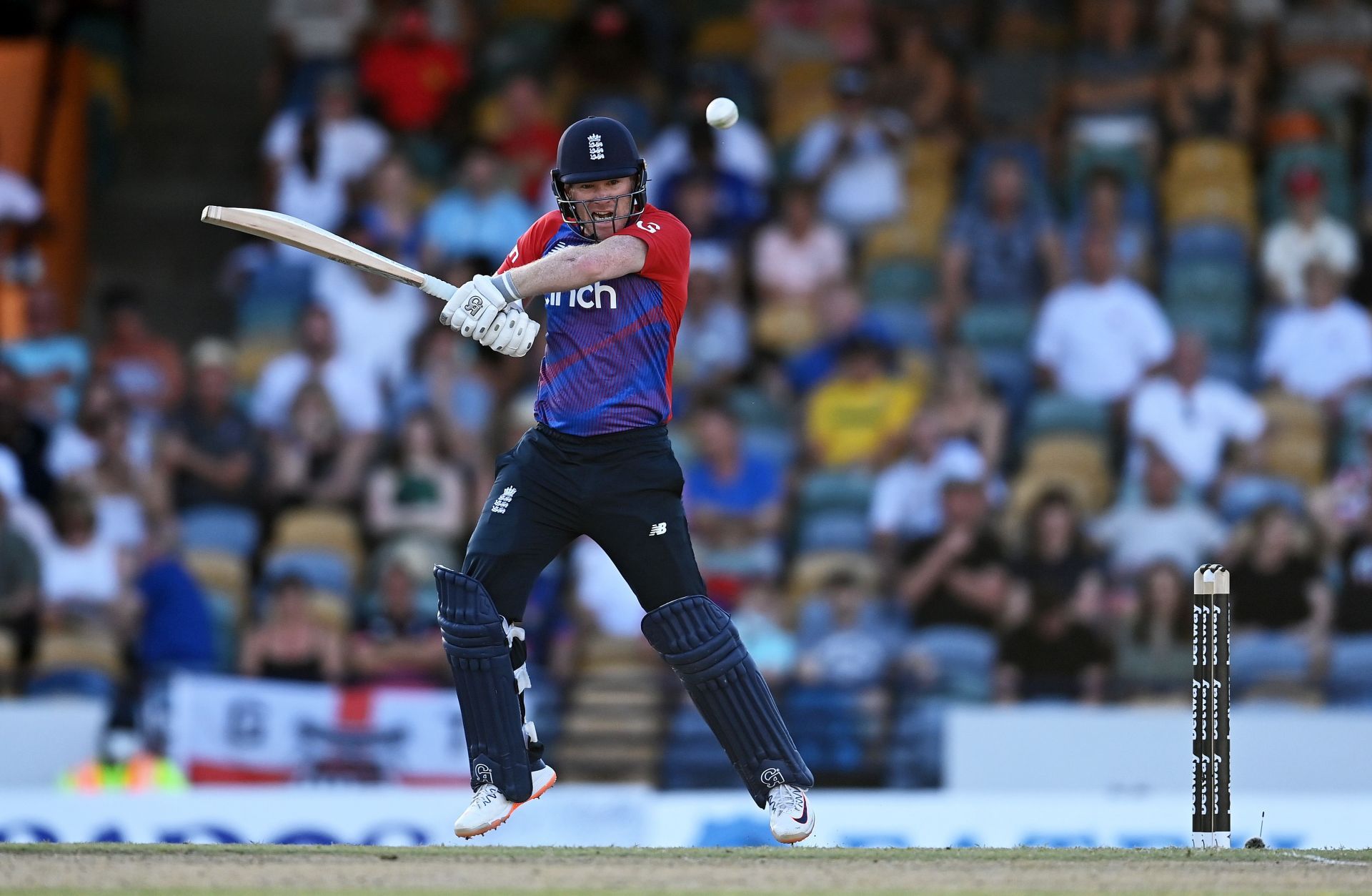 Eoin Morgan during the 2nd T20 against West Indies. Pic: Getty Images