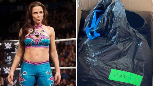 People haven't forgotten that WWE sent Mickie James her belongings in a trash bag.