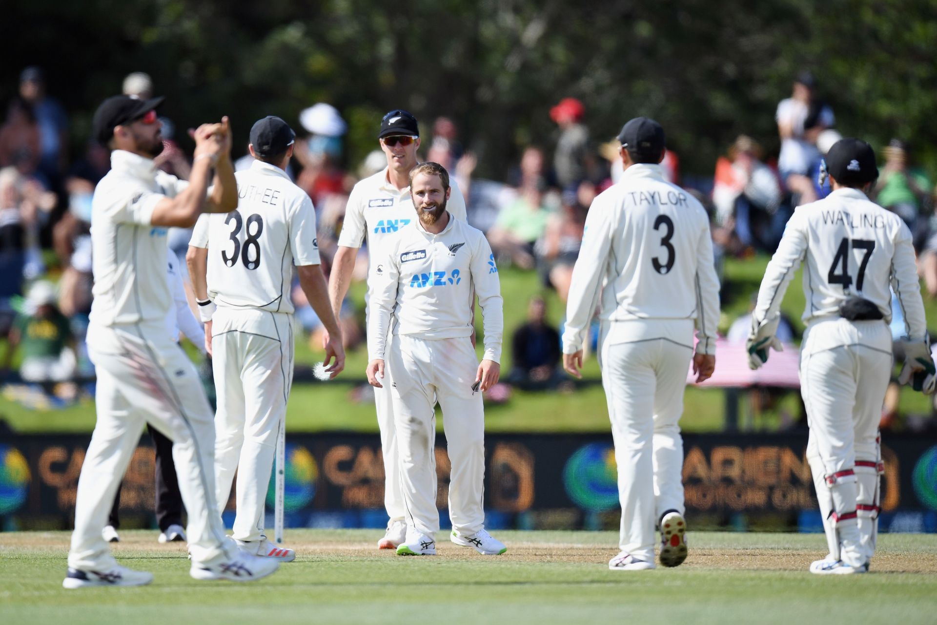 New Zealand team hit 22 sixes in an innings against Pakistan