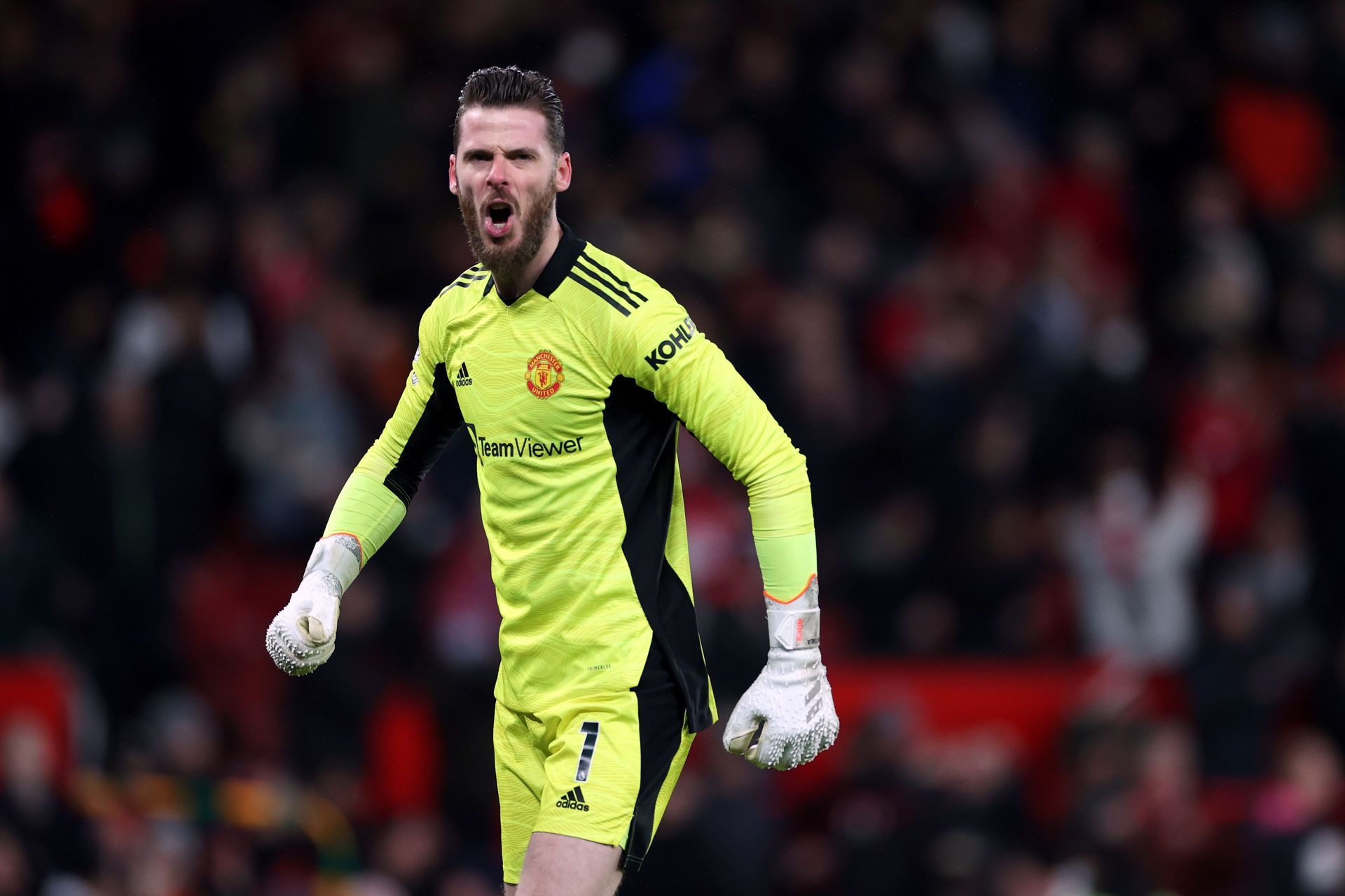 David de Gea has impressed between the sticks this season.