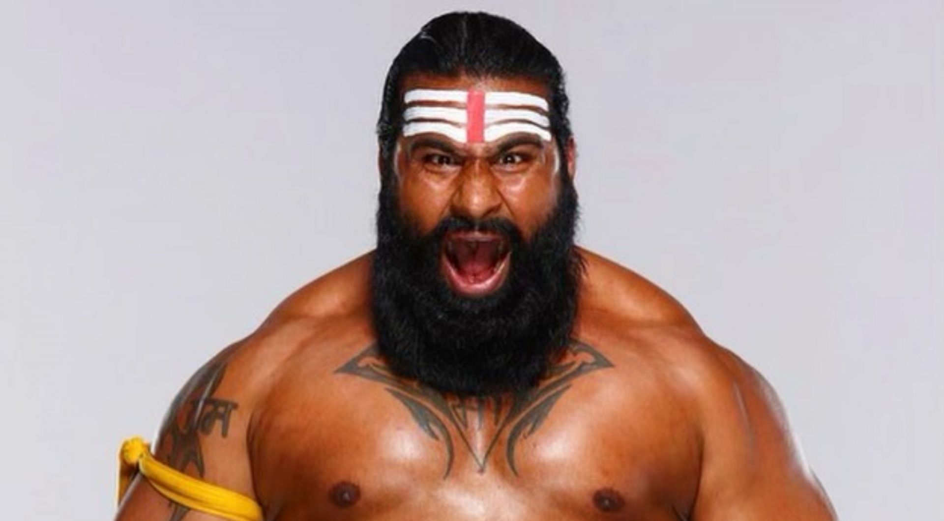 WWE में वीर महान को सफलता मिल सकती है