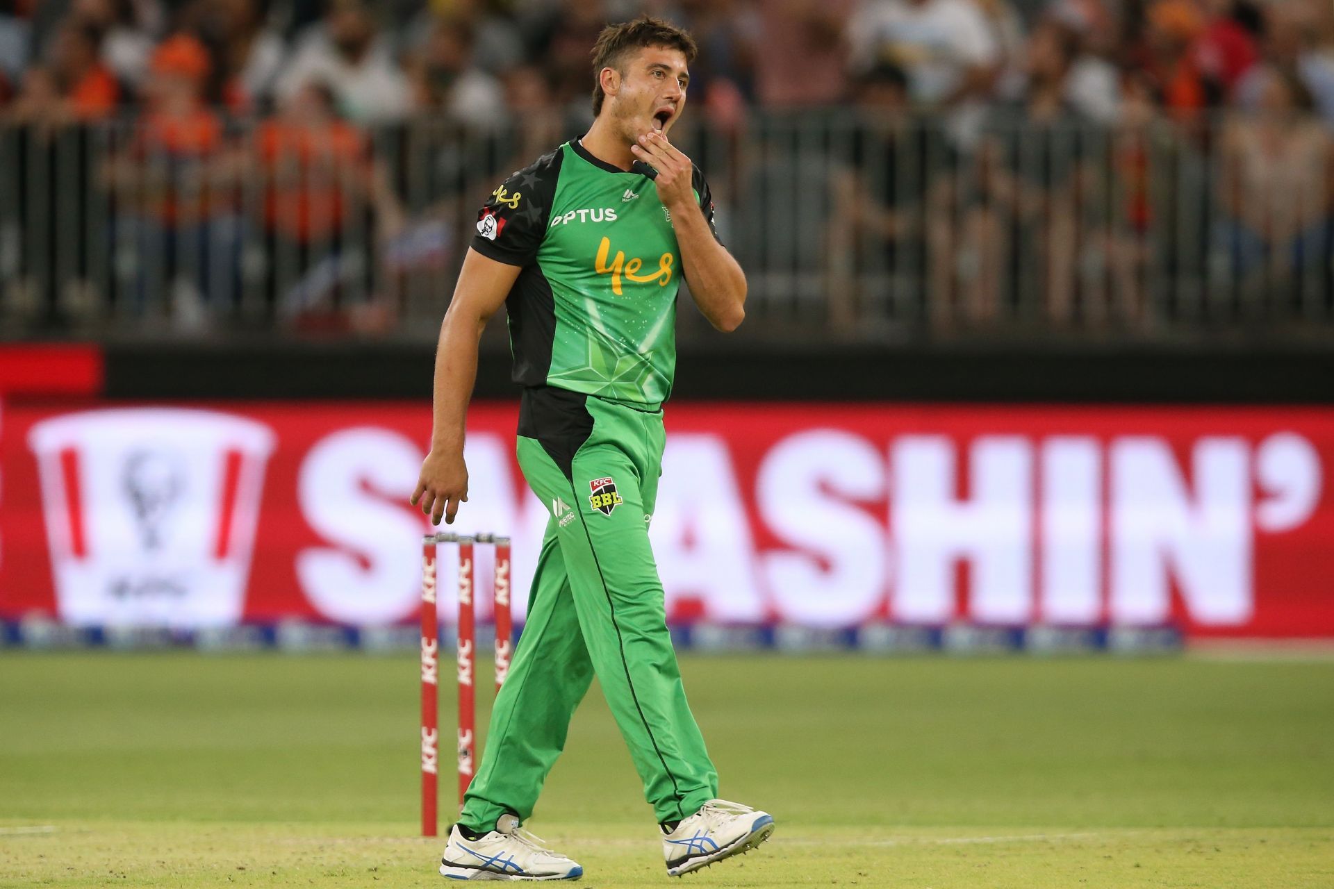 Marcus Stoinis has worked with CSK Coach Stephen Fleming at the Melbourne Stars.