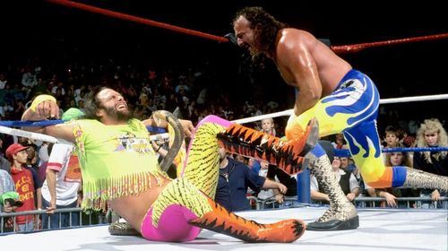 Jake Roberts recalls Vince McMahon's role in "snake-bite" angle with Randy Savage