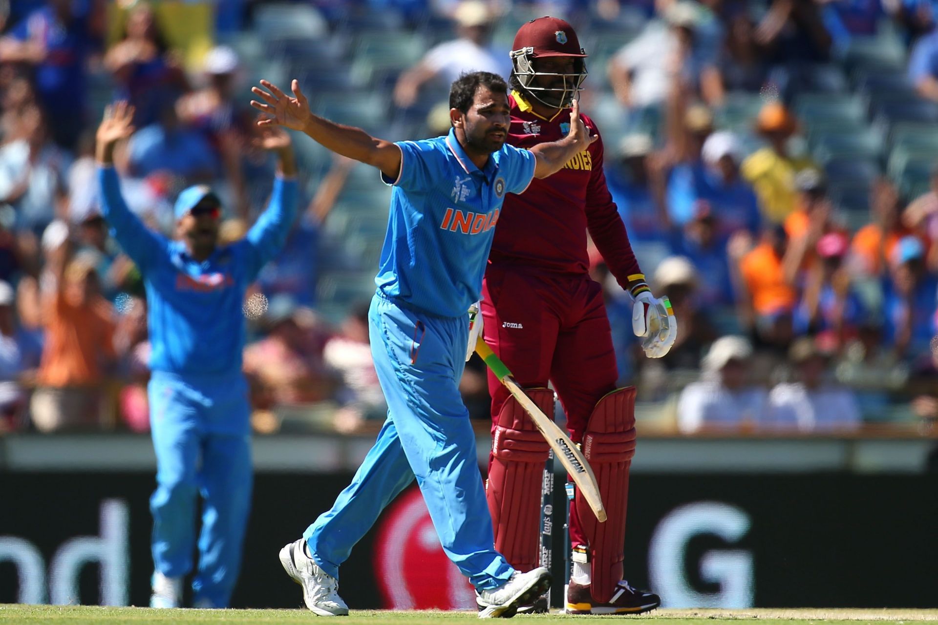 Team India pacer Mohammed Shami. Pic: Getty Images