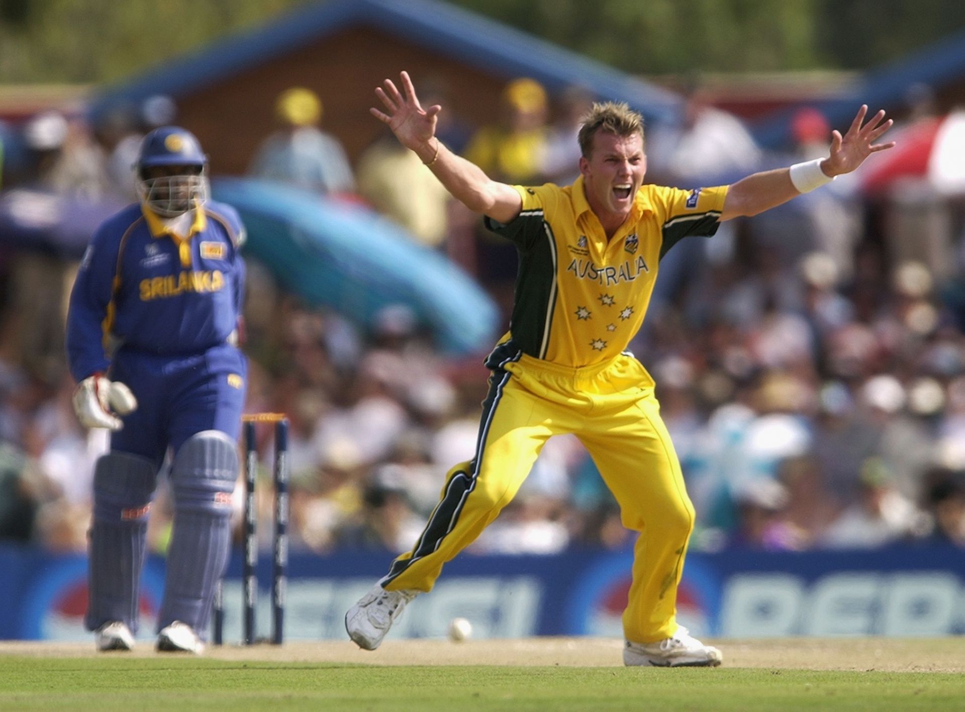 Brett Lee of Australia appeals for lbw