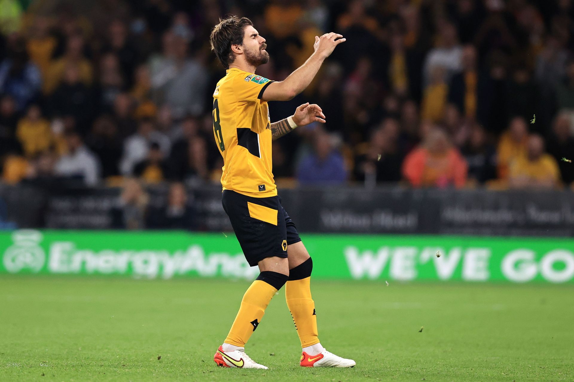 Wolverhampton Wanderers v Tottenham Hotspur - Carabao Cup Third Round