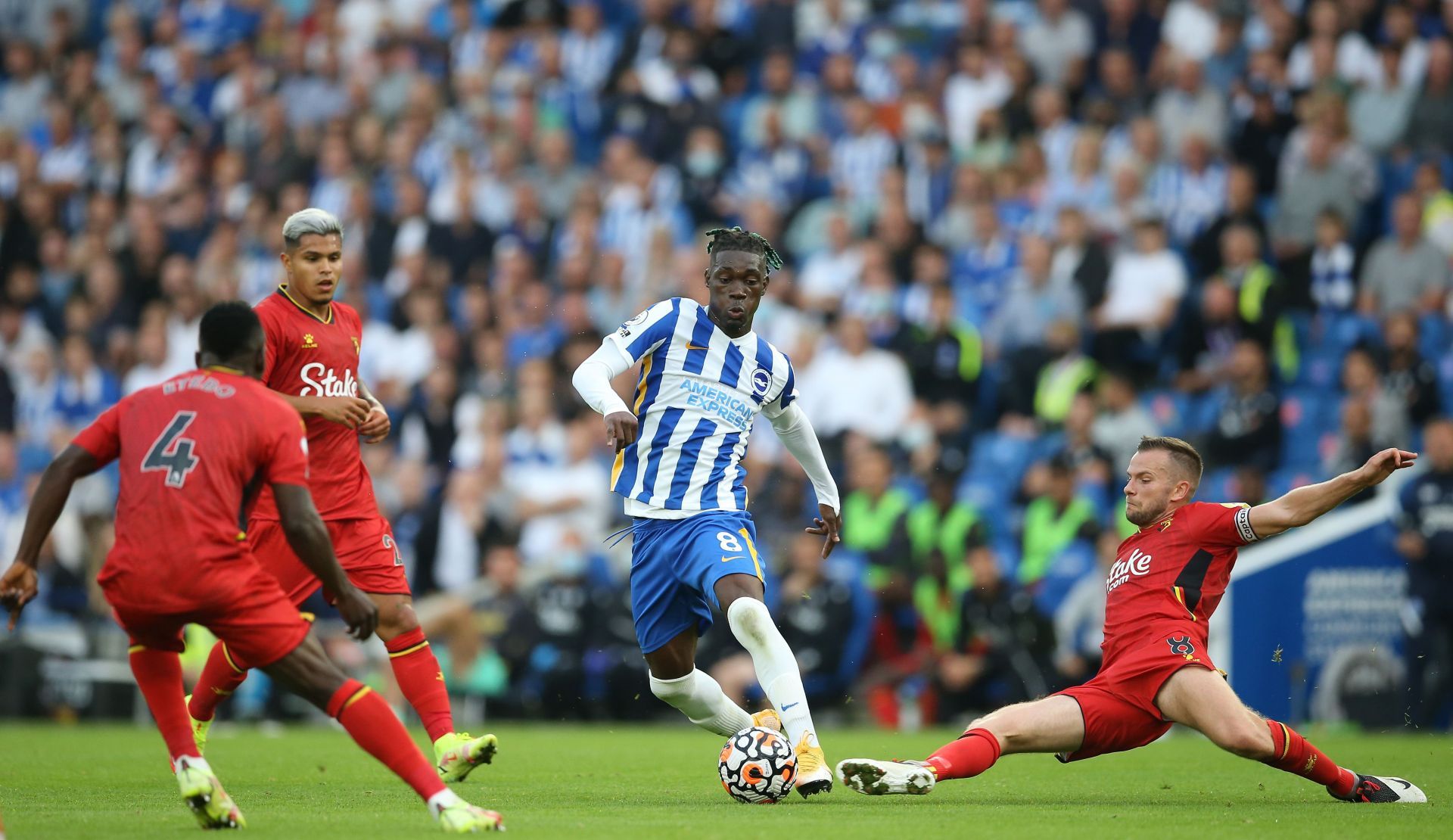 Watford play host to Brighton and Hove Albion on Saturday