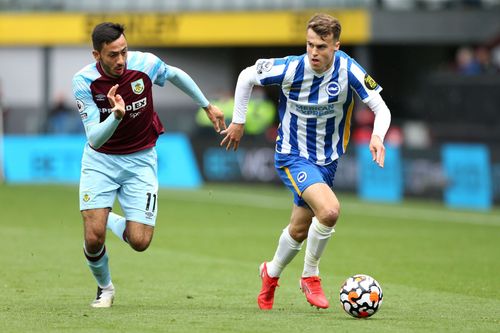 Brighton and Hove Albion play host to Burnley on Saturday