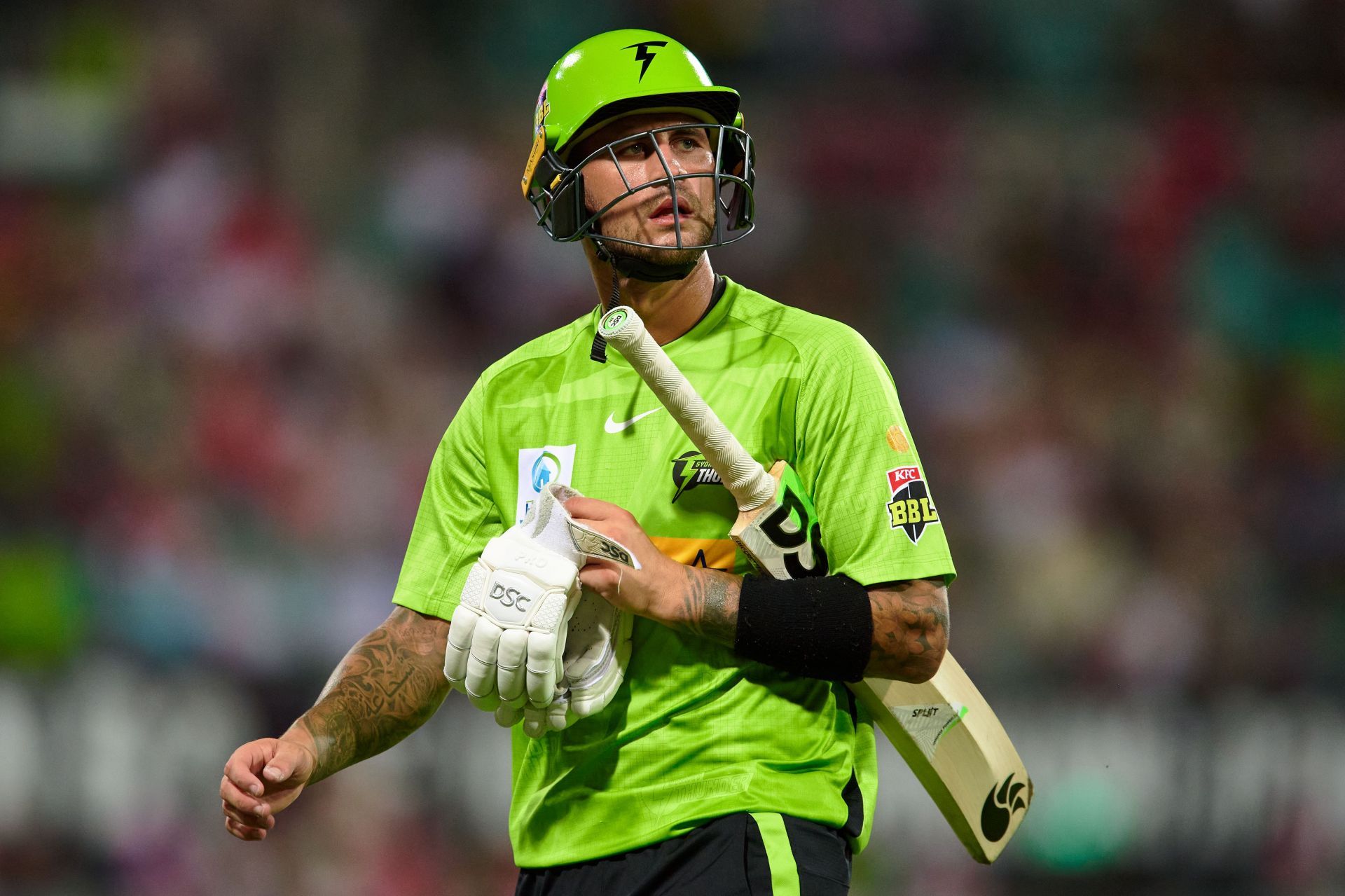 Alex Hales in action during the BBL - Sixers v Thunder