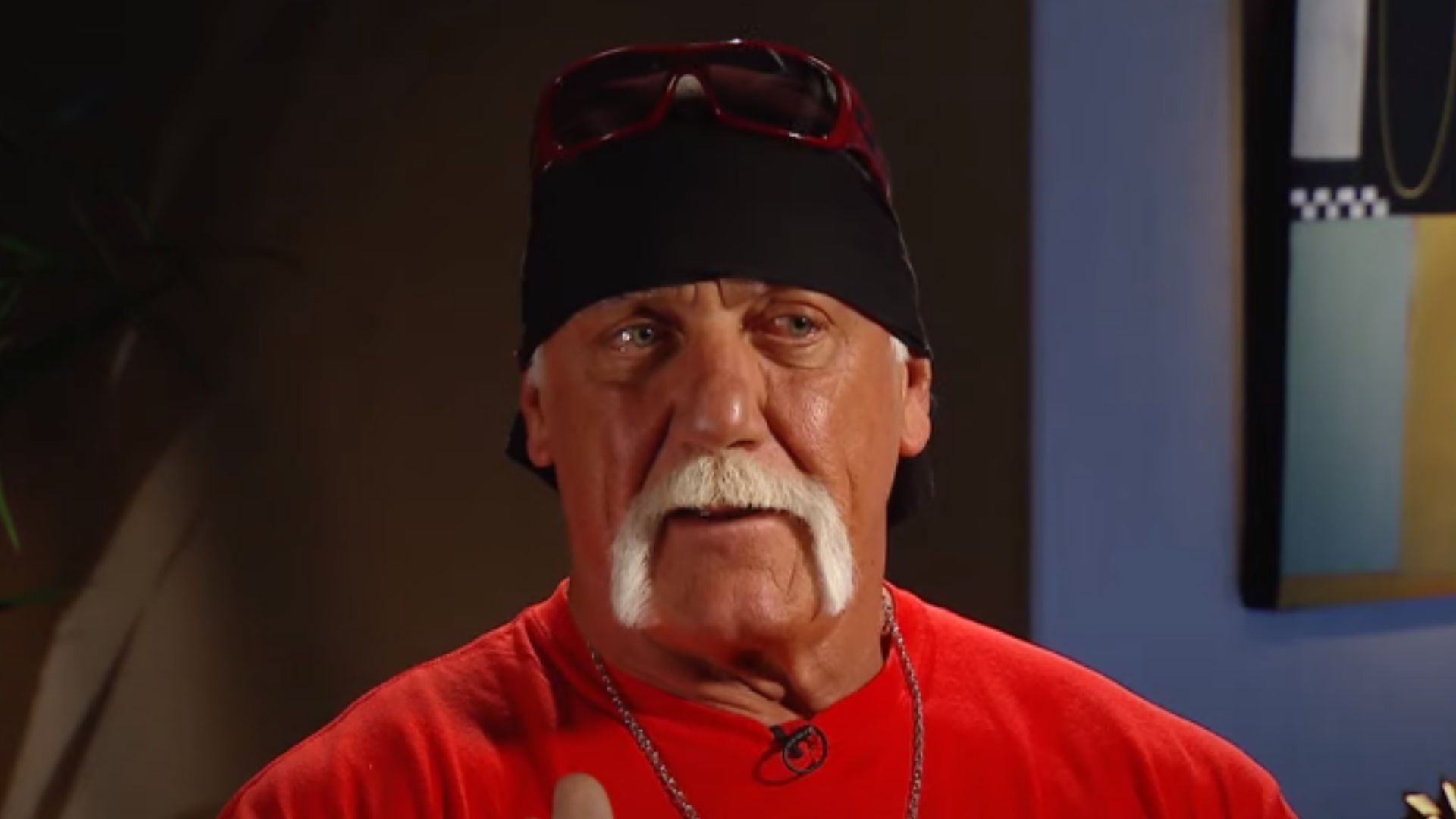 Hulk Hogan is a two-time WWE Hall of Famer.