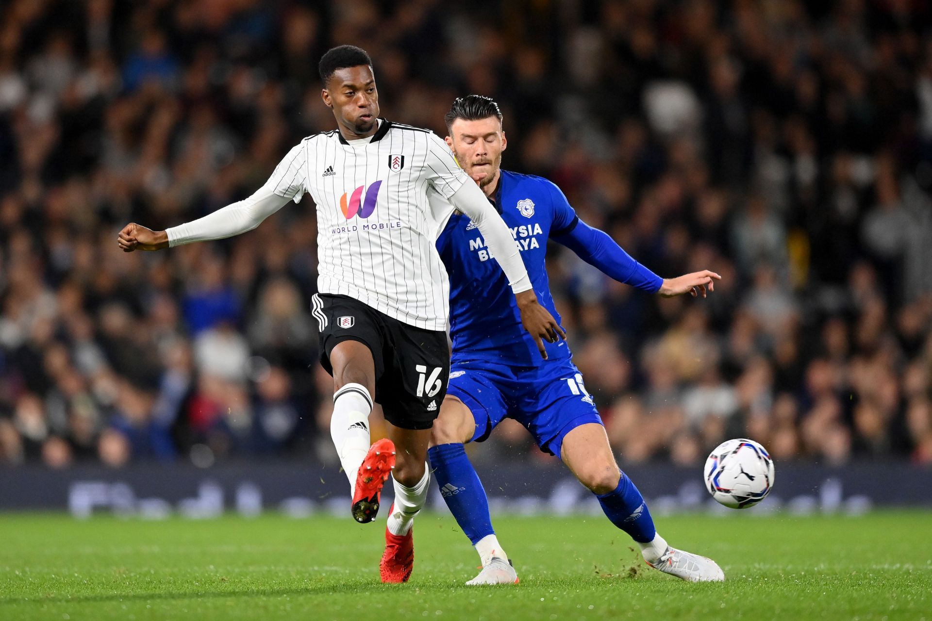 Cardiff City and Fulham go head-to-head on Saturday