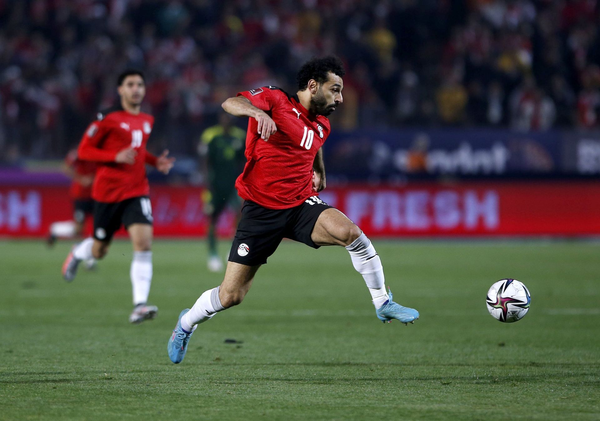 Egypt v Senegal - FIFA World Cup Qatar 2022 Qualifier