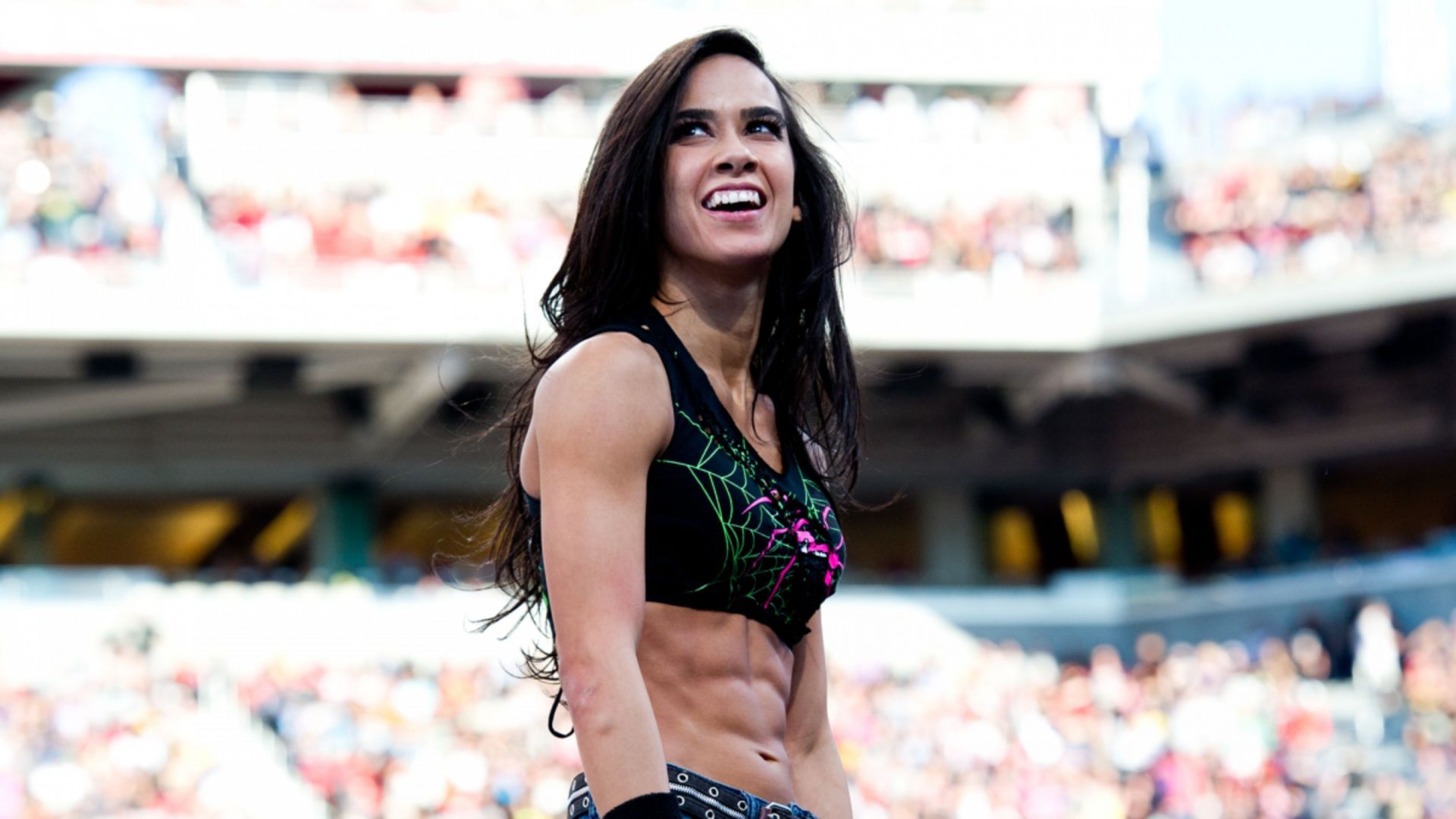 Former WWE Divas Champion AJ Lee