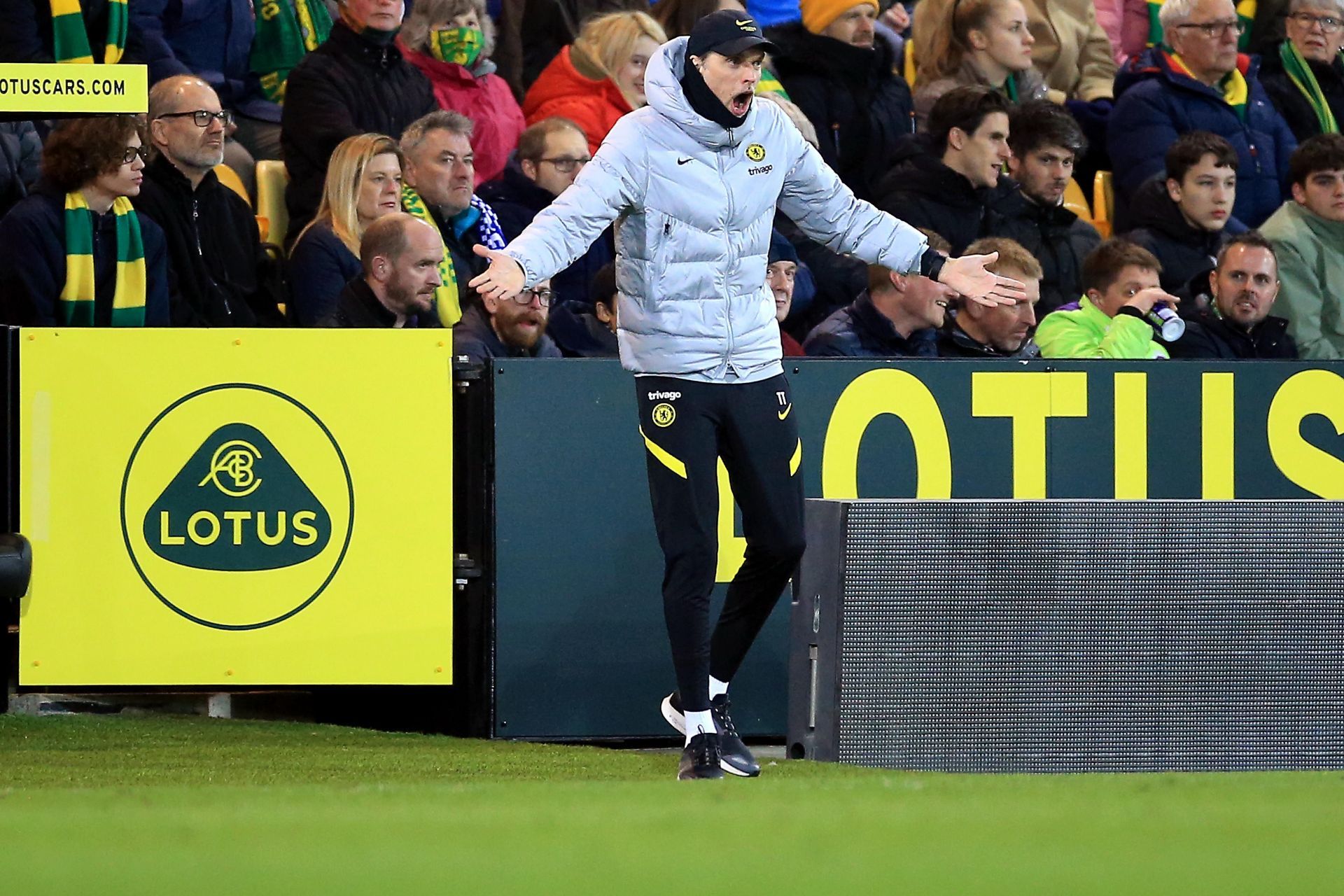 Thomas Tuchel reacts against Norwich City.