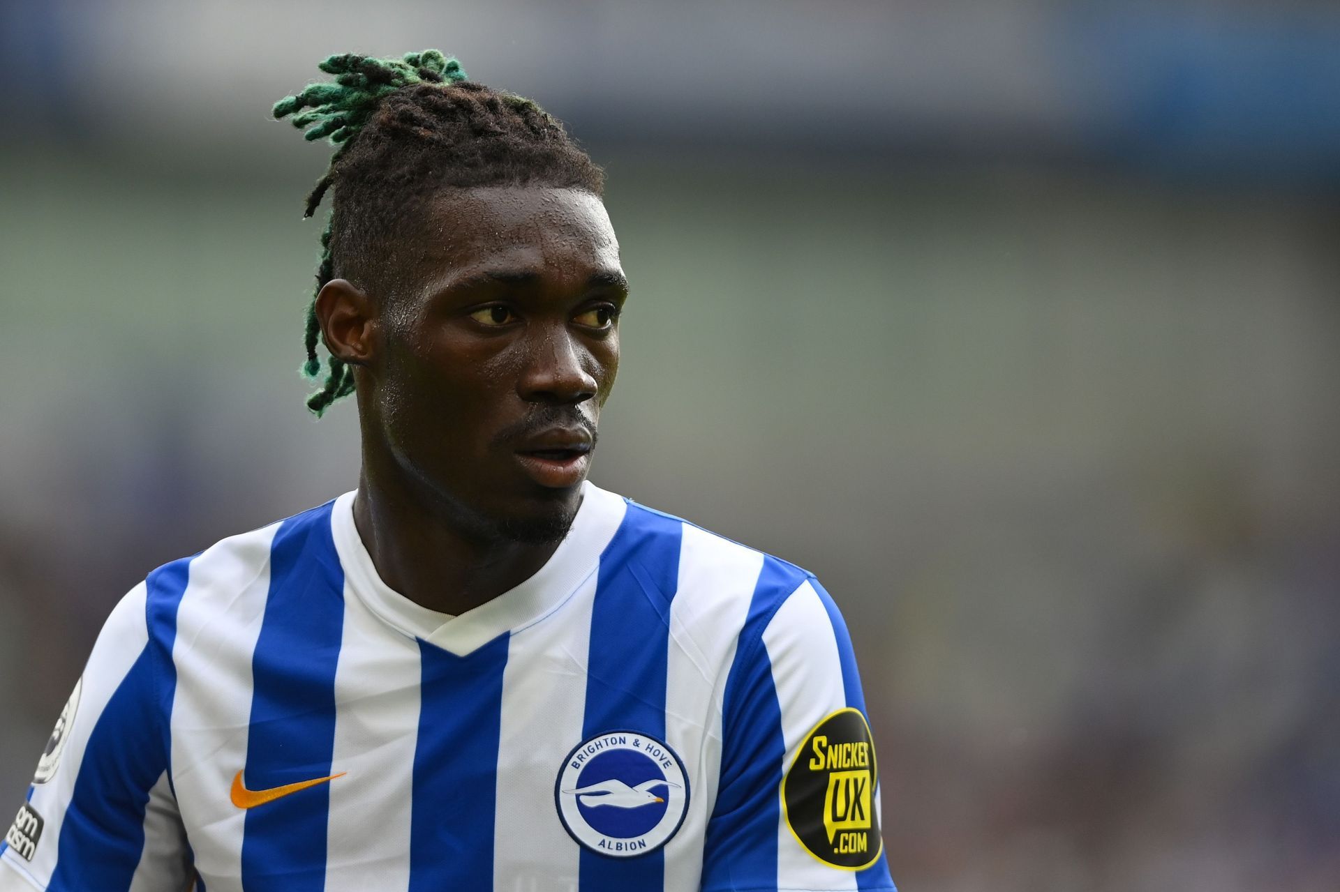 Brighton &amp; Hove Albion v Everton - Premier League