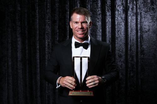 David Warner: 2018 Allan Border Medal