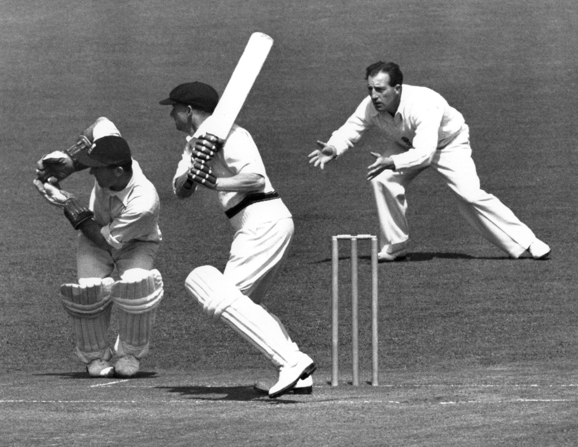 A typically rasping square-cut by Don Bradman at Trent Bridge in 1948