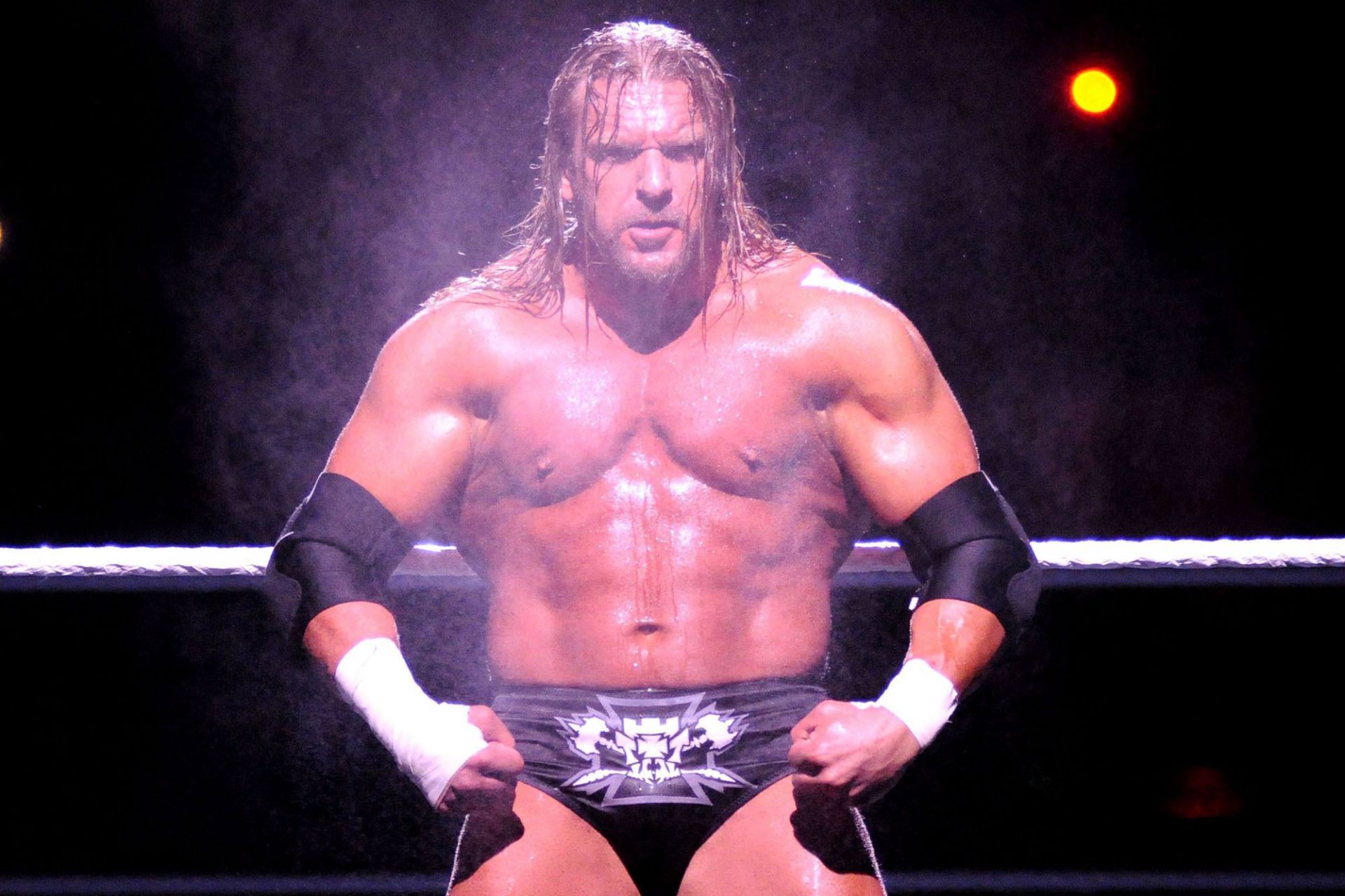 The Cerebral Assassin, Triple H