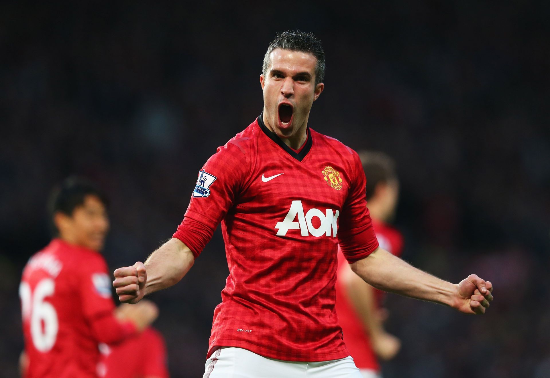Robin van Persie entertained millions with his sublime goals