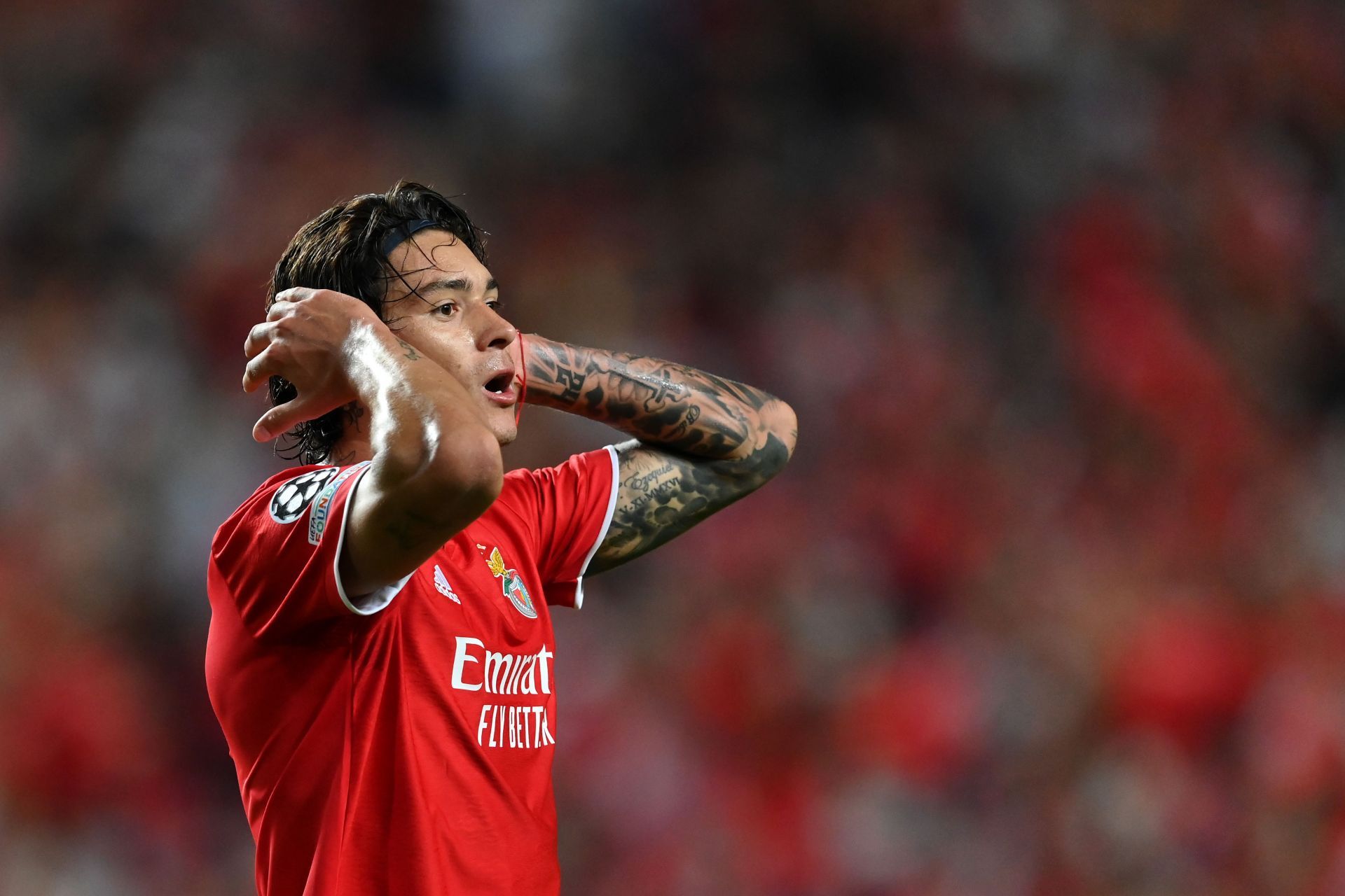Darwin Nunez in action for Portuguese giants Benfica