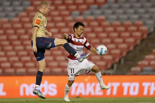 Western Sydney Wanderers take on Newcastle Jets this week