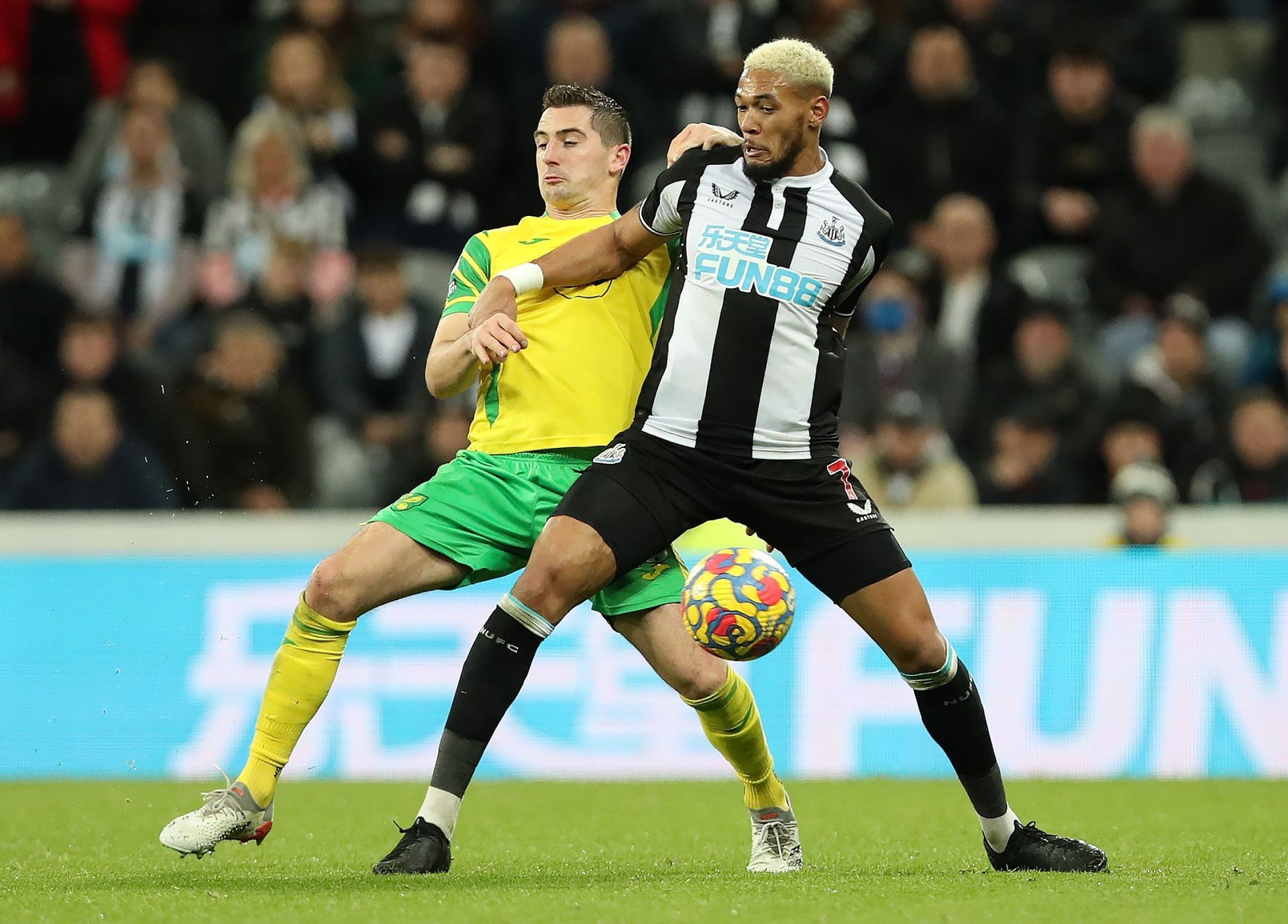 Newcastle United v Norwich City - Premier League