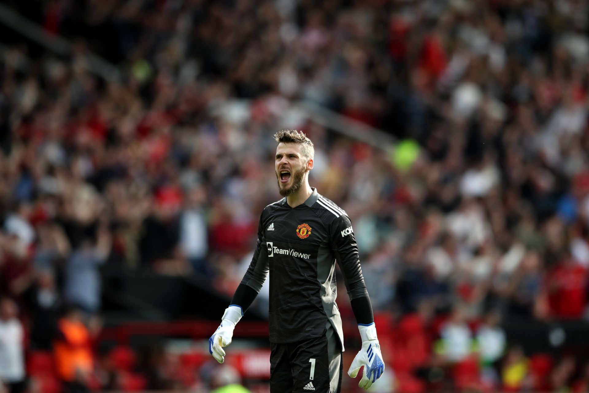 David de Gea in action against Norwich City in the Premier League