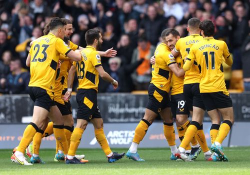 Wolverhampton Wanderers play Brighton & Hove Albion on Saturday