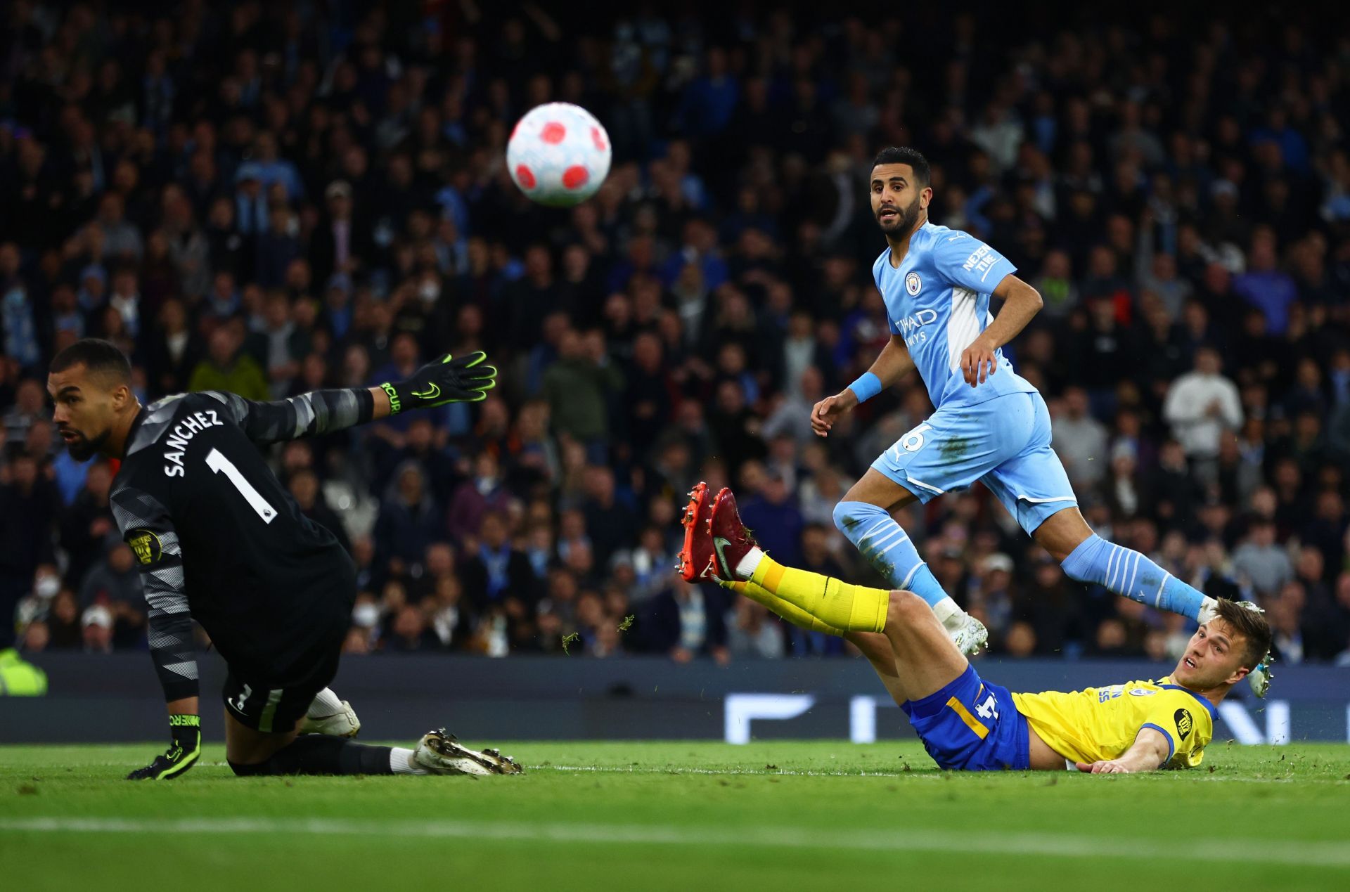 Manchester City v Brighton & Hove Albion - Premier League