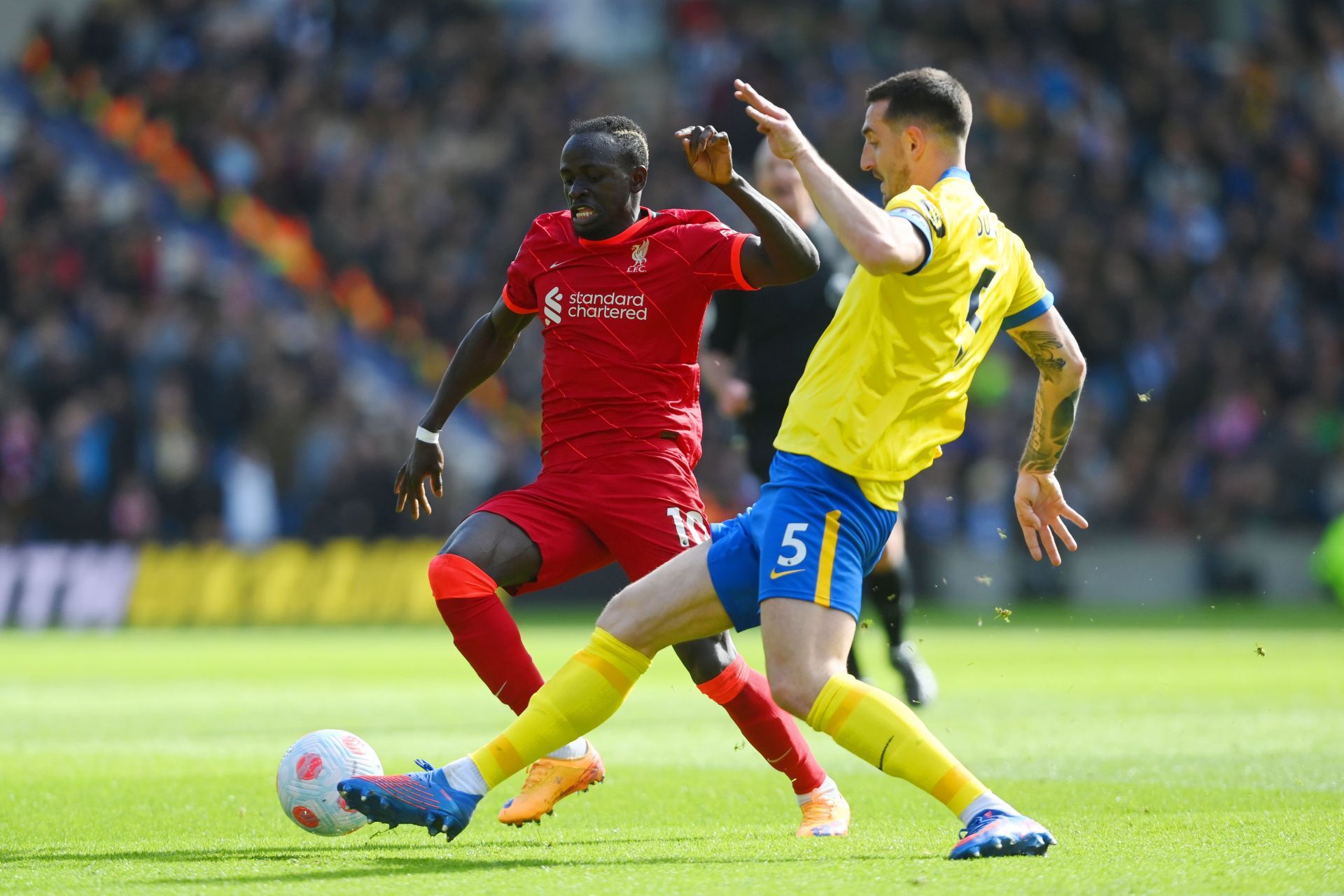 Brighton &amp; Hove Albion v Liverpool - Premier League