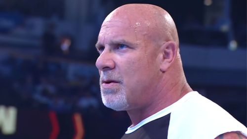 The WWE Hall of Famer disliked the Gillberg gimmick.