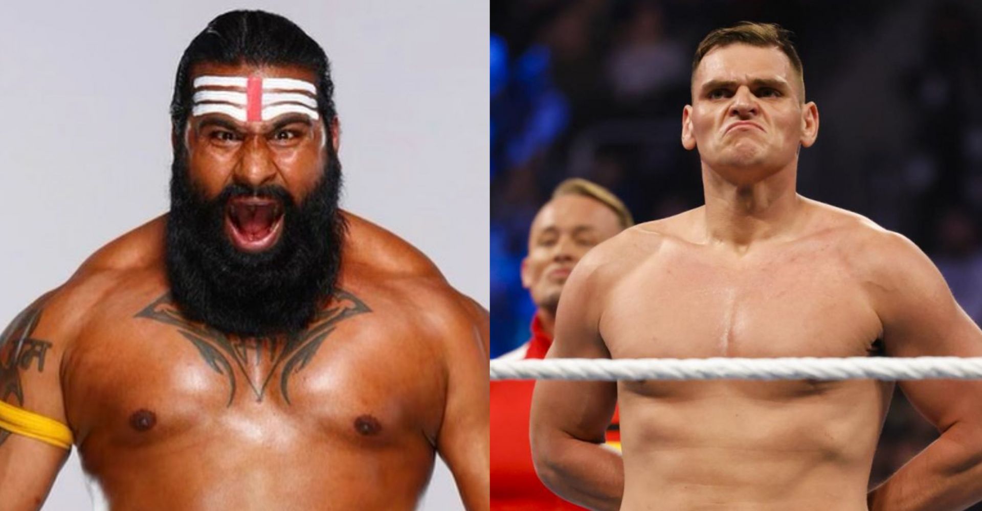 WWE में कुछ नए सुपरस्टार्स सफलता हासिल कर सकते हैं 