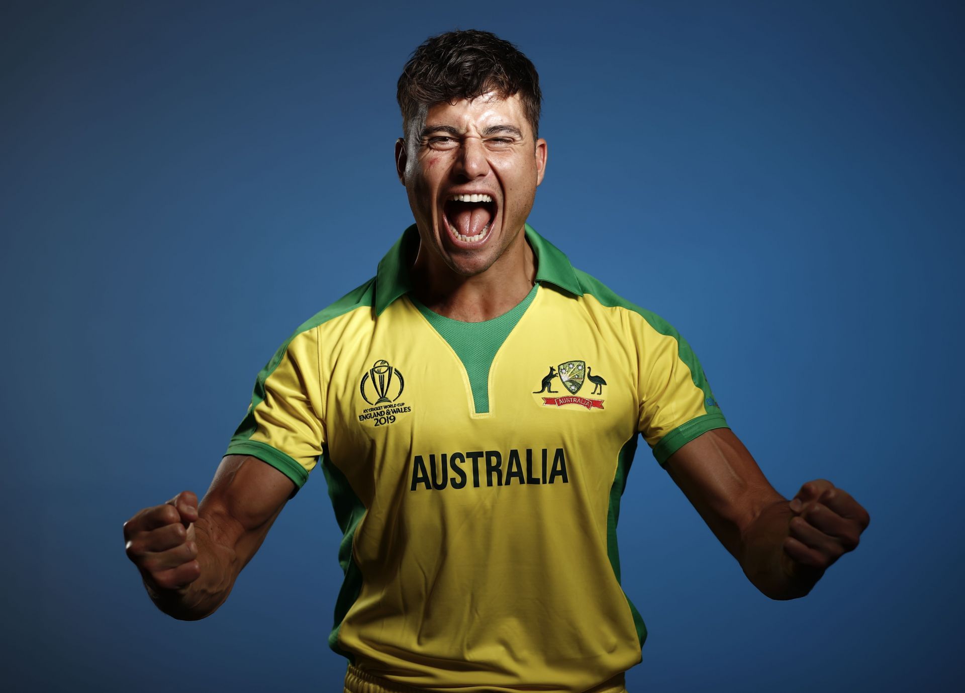 Marcus Stoinis left his mark on the IPL 2020 season